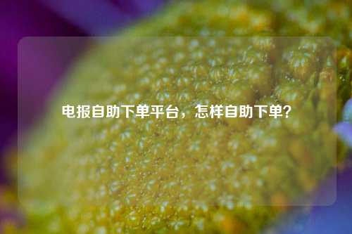 电报自助下单平台，怎样自助下单？