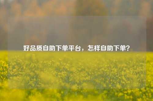 好品质自助下单平台，怎样自助下单？