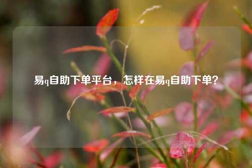 易q自助下单平台，怎样在易q自助下单？