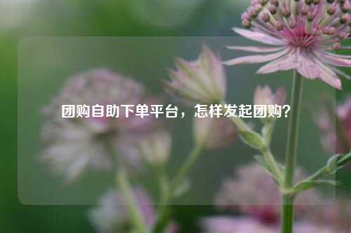 团购自助下单平台，怎样发起团购？