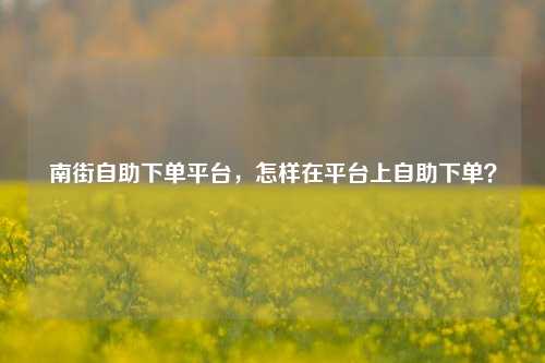 南街自助下单平台，怎样在平台上自助下单？