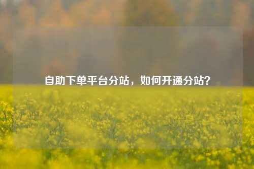 自助下单平台分站，如何开通分站？