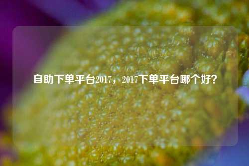 自助下单平台2017，2017下单平台哪个好？