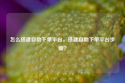 怎么搭建自助下单平台，搭建自助下单平台步骤？