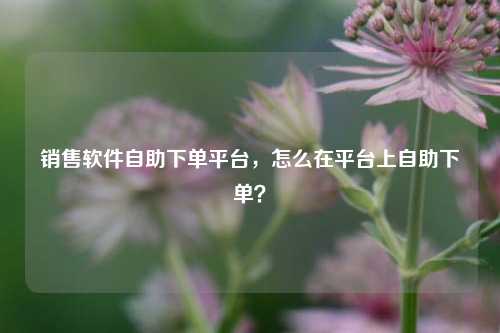 销售软件自助下单平台，怎么在平台上自助下单？