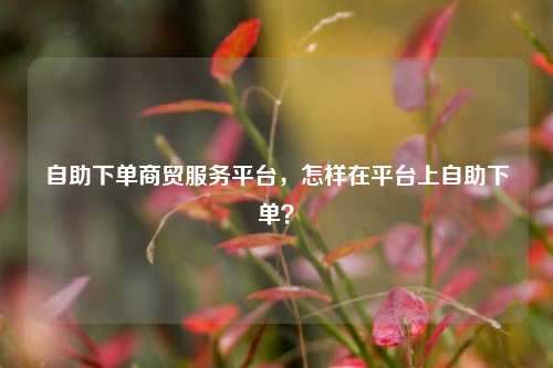 自助下单商贸服务平台，怎样在平台上自助下单？