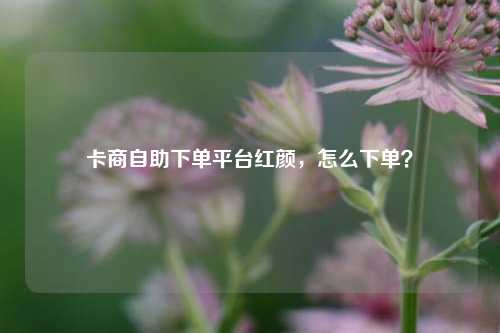 卡商自助下单平台红颜，怎么下单？