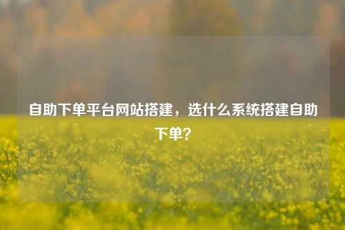 自助下单平台网站搭建，选什么系统搭建自助下单？