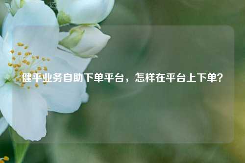 健平业务自助下单平台，怎样在平台上下单？