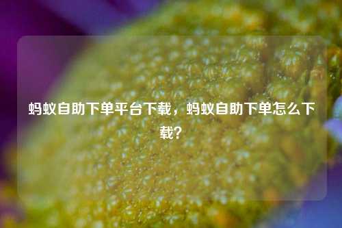 蚂蚁自助下单平台下载，蚂蚁自助下单怎么下载？