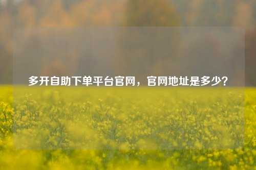 多开自助下单平台官网，官网地址是多少？