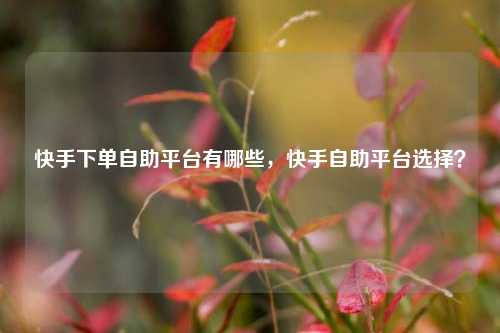 快手下单自助平台有哪些，快手自助平台选择？