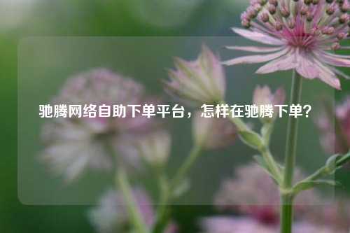 驰腾网络自助下单平台，怎样在驰腾下单？