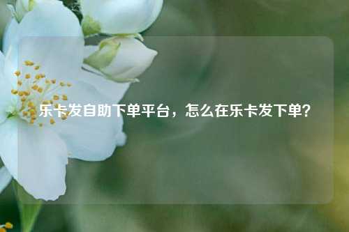 乐卡发自助下单平台，怎么在乐卡发下单？