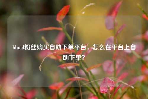 blued粉丝购买自助下单平台，怎么在平台上自助下单？