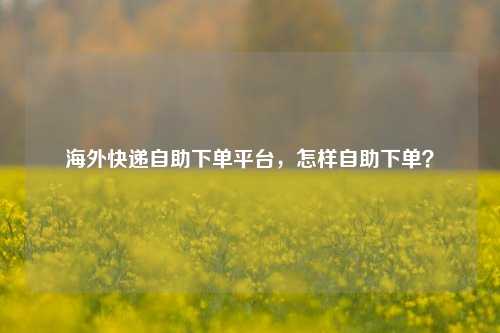海外快递自助下单平台，怎样自助下单？